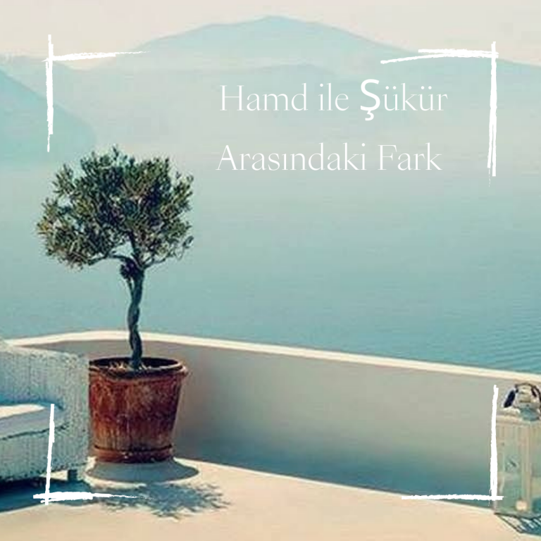 Hamd Etmek ile Şükr Etmek Arasındaki Fark Nedir?